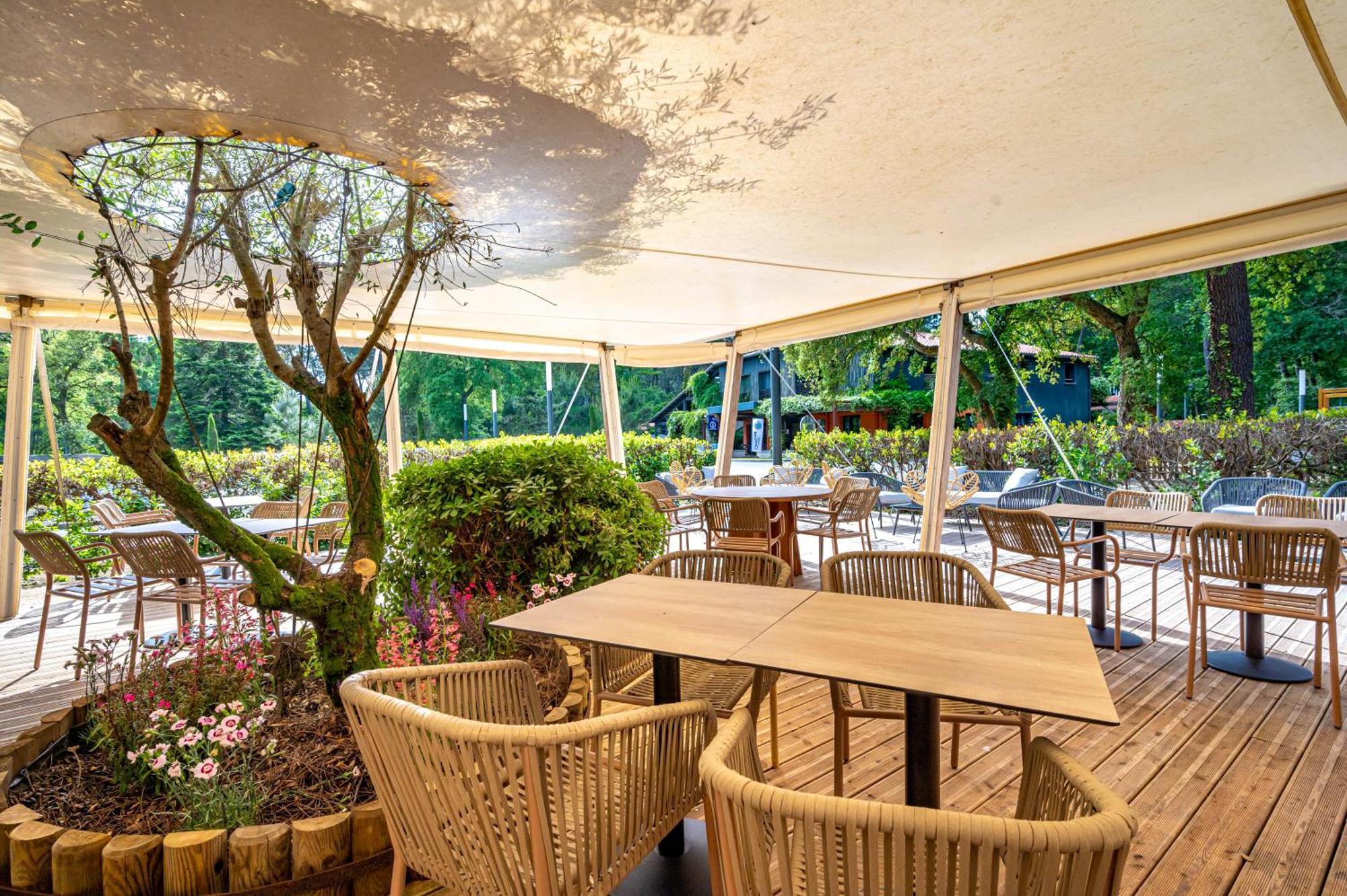 Camping-Village Vacances Les Deux Etangs Seignosse Exterior foto